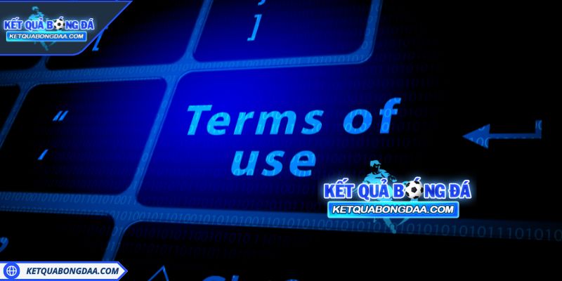 Điều khoản sử dụng