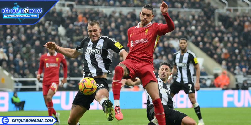 Liverpool vs Newcastle