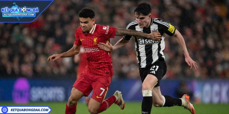 Liverpool vs Newcastle