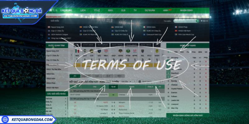 Điều khoản sử dụng