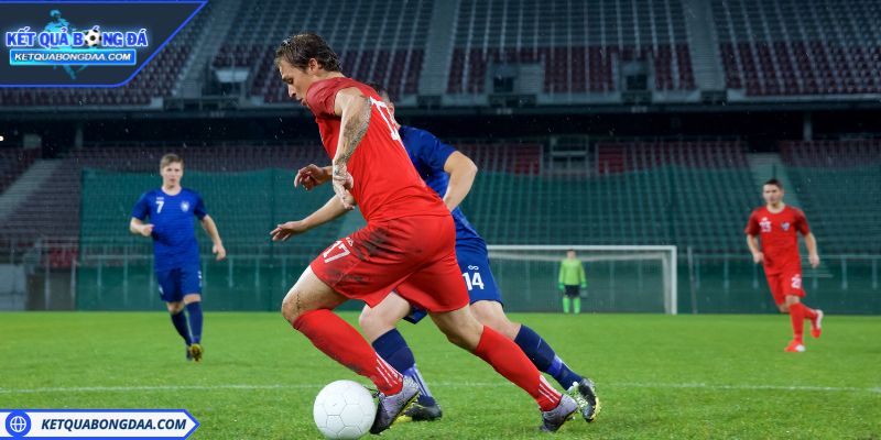 Tìm hiểu kèo tài xỉu 2.5