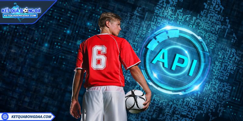 Trách Nhiệm Các Bên Đối Với Website Kết Quả Bóng Đá Trách nhiệm các bên